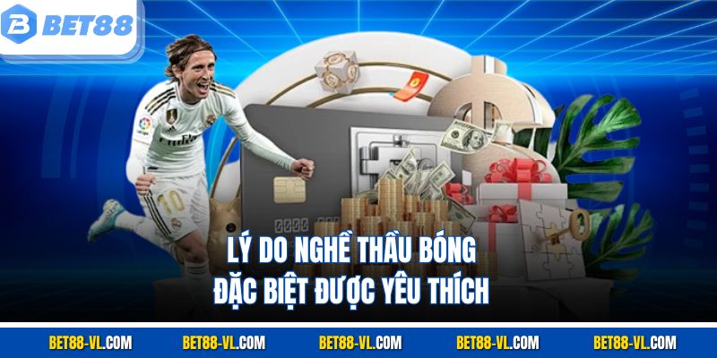 Lý do nghề thầu bóng đặc biệt được yêu thích